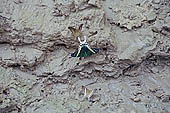 Canoe journey down the rivers of the Madre de Dios department in the Manu reserve